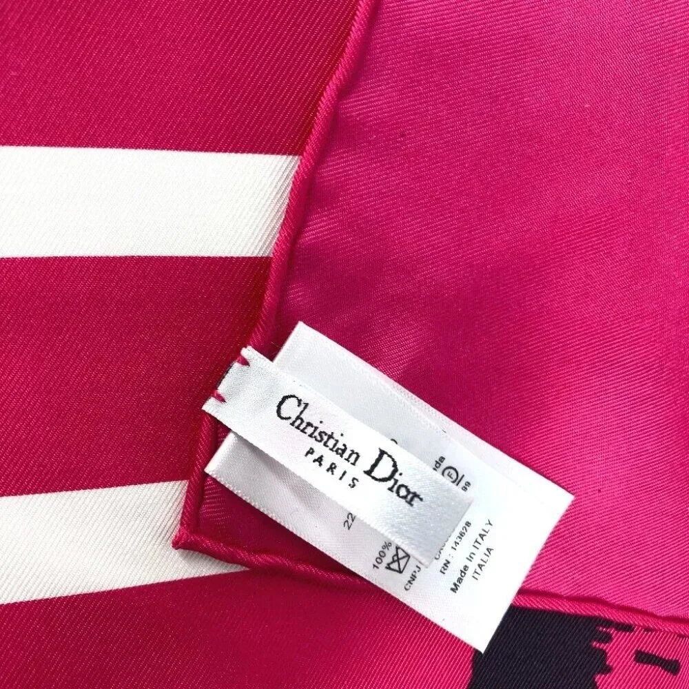Dior 22ANP090I610 Butterfly butterfly Scarf silk pink/blue